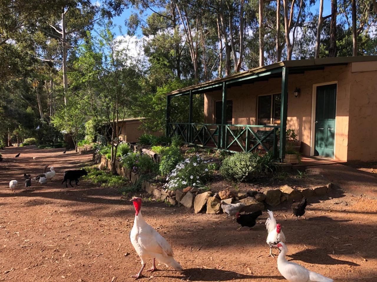Country Cottages Of บริดจ์ทาวน์ ภายนอก รูปภาพ
